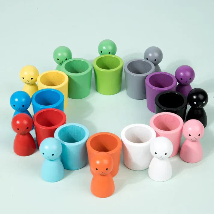 Montessori Wooden Colour Sorting Cup