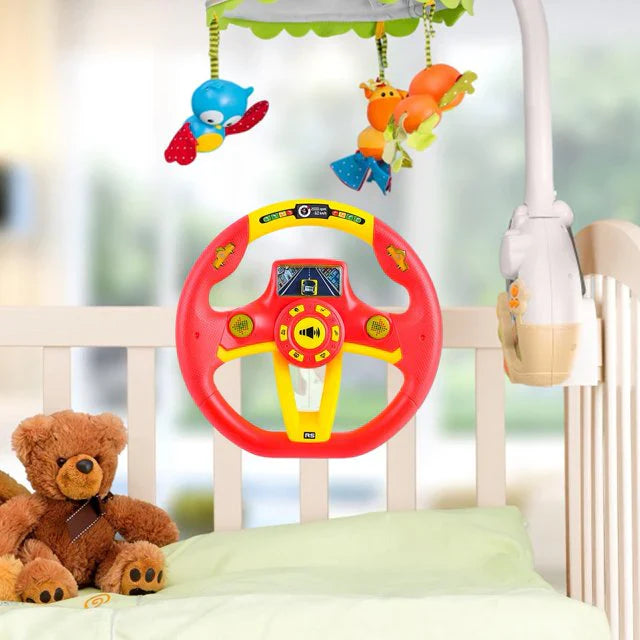 Multifunctional Musical Steering Wheel