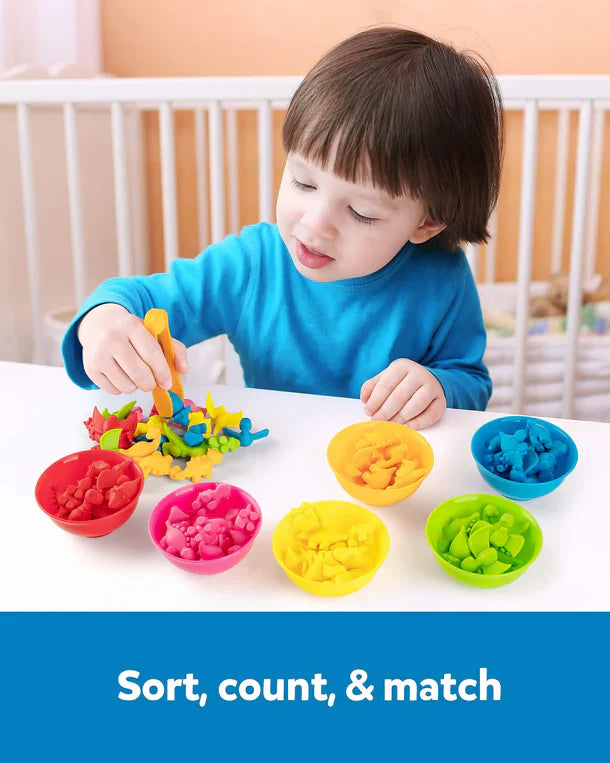 Counting Dinosaur Sorting Toy